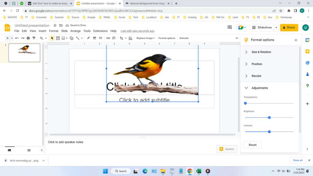 How to Make Images in Google Slides Become Backgroundless - Step 3