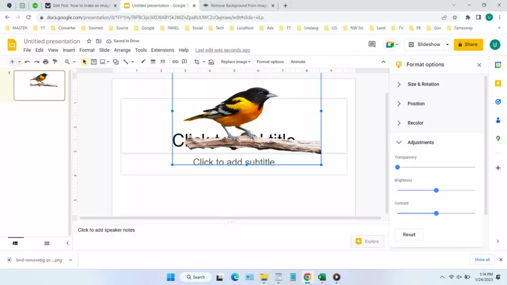 How to Make Images in Google Slides Become Backgroundless - Step 3