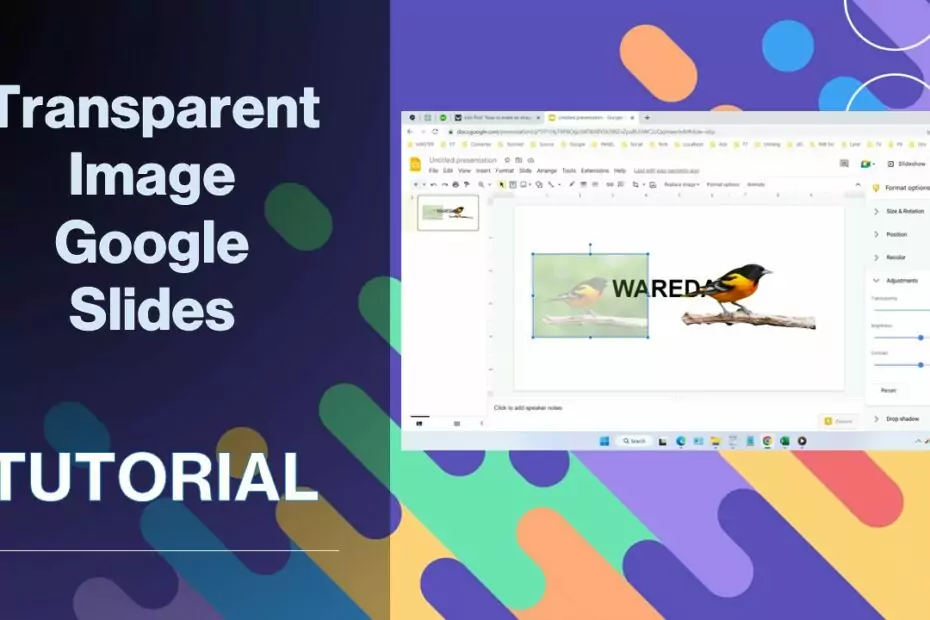 How to Make an Image Transparent in Google Slides