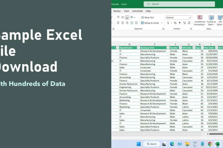 Sample Excel File .XLSX Download