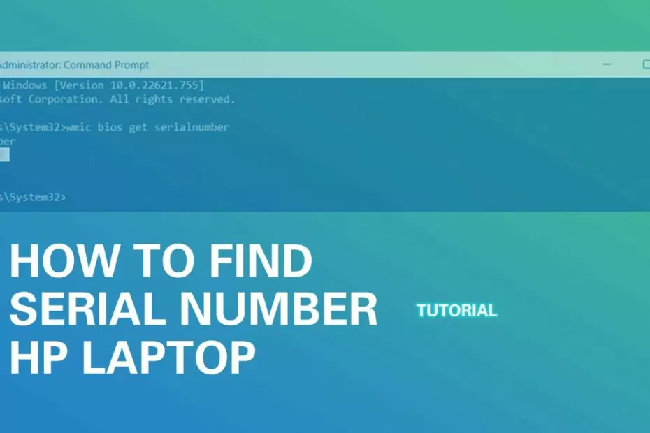 How to Find Serial Number HP Laptop