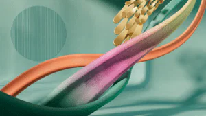 Microsoft Teams Background 17 Microsoft Teams Background 5