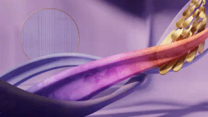 Microsoft Teams Background 16 Microsoft Teams Background 6