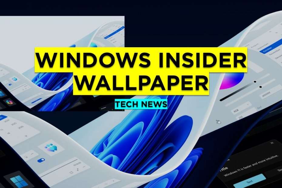 WINDOWS INSIDER WALLPAPER FOR WINDOWS 11