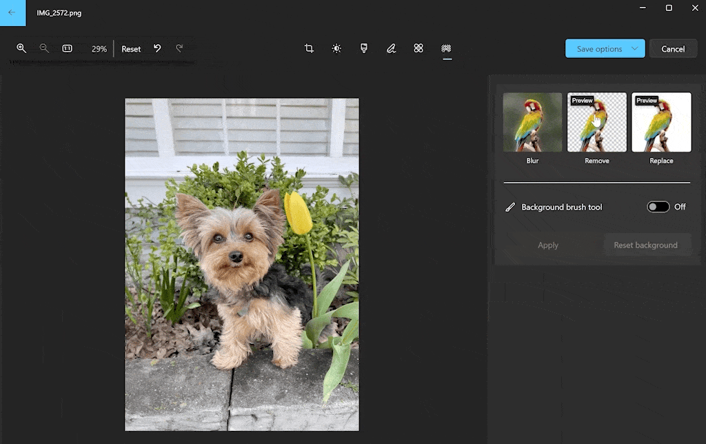 Microsoft Photos-Background-Remove_update-min