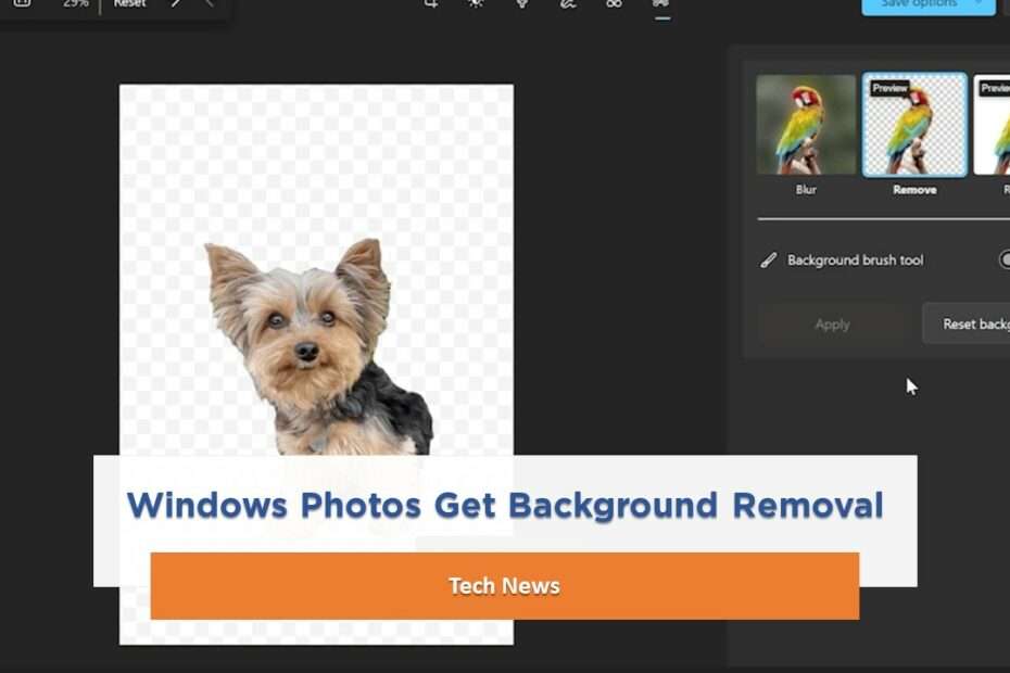 Windows Photos Get Background Removal