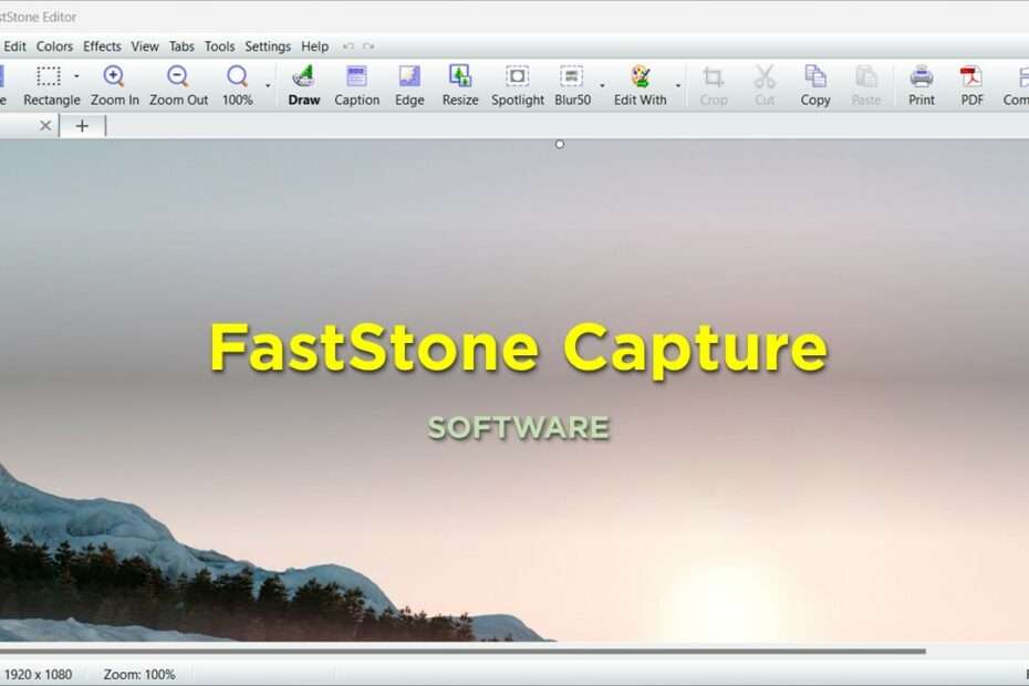 FastStone Capture