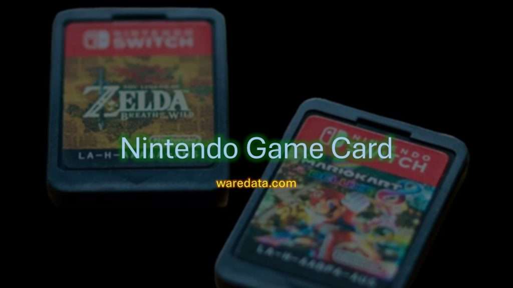 Nintendo Game Card