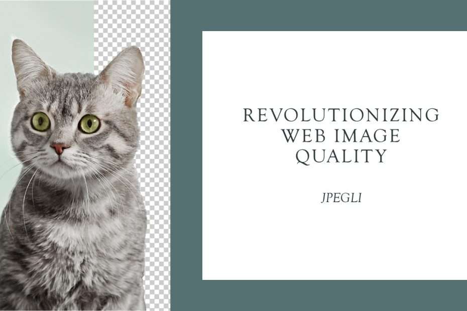 Revolutionizing Web Image Quality JPEGLI BY GOOGLE