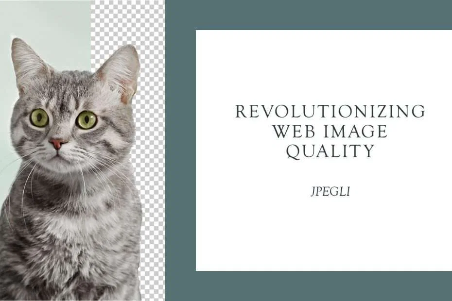 Revolutionizing Web Image Quality: Google's Latest Coding Library Enhances JPEG Format 1 Revolutionizing Web Image Quality JPEGLI BY GOOGLE