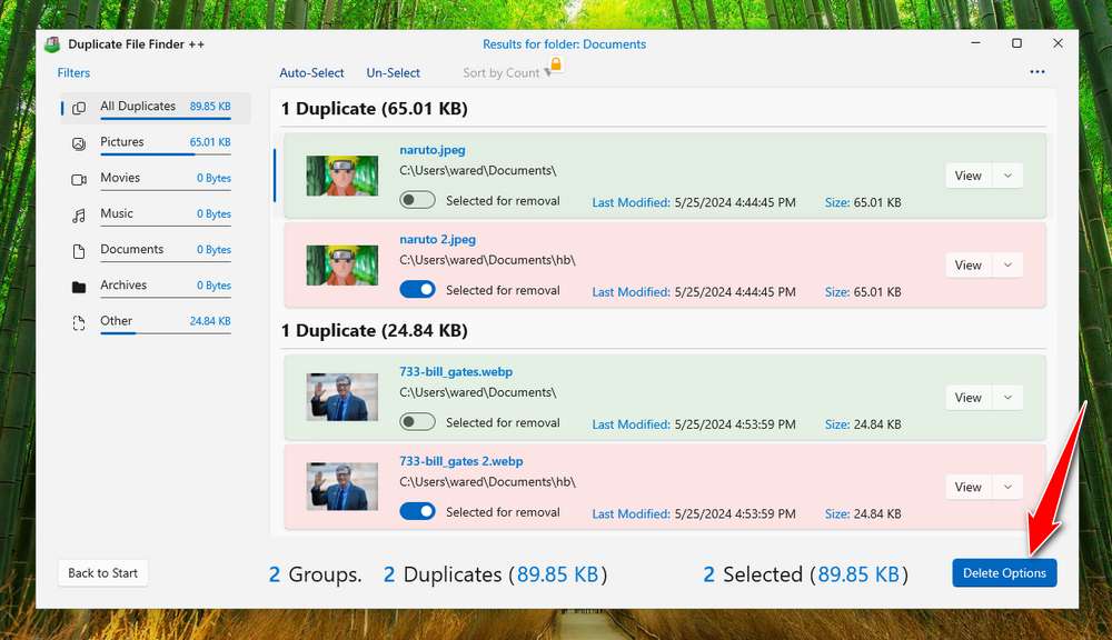 Scan file results from Duplicate using Duplicate File Finder ++.