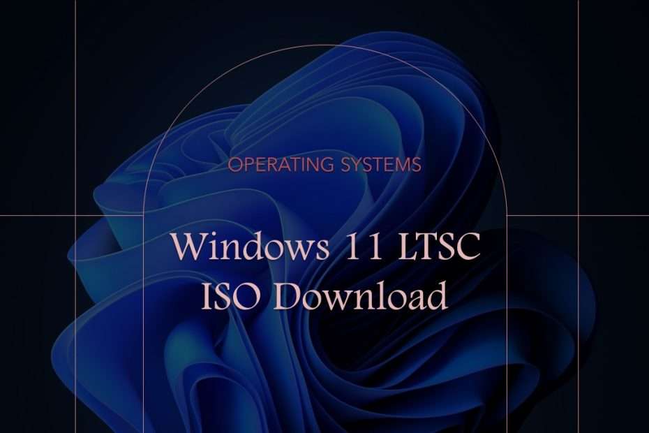 Windows 11 LTSC ISO Download
