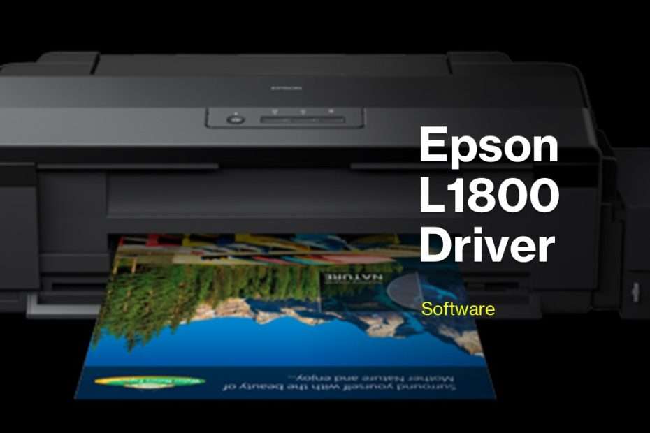 Epson L1800 Driver Download