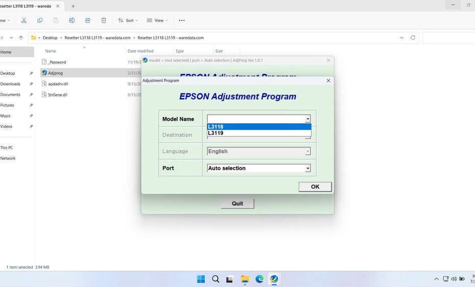 Epson L3118 & L3119 Resetter