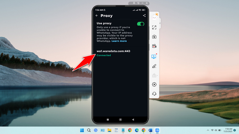 How to Use a Proxy for WhatsApp - Step 11