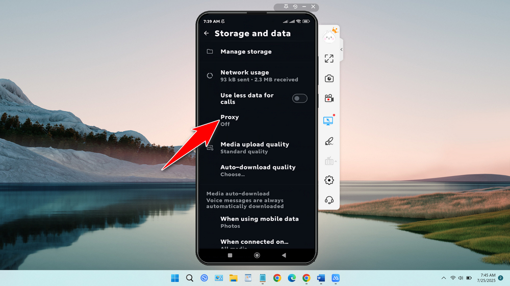 How to Use a Proxy for WhatsApp - Step 4
