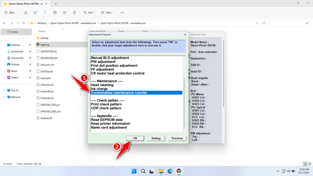 How to Use Epson RX700 Resetter - Step 3