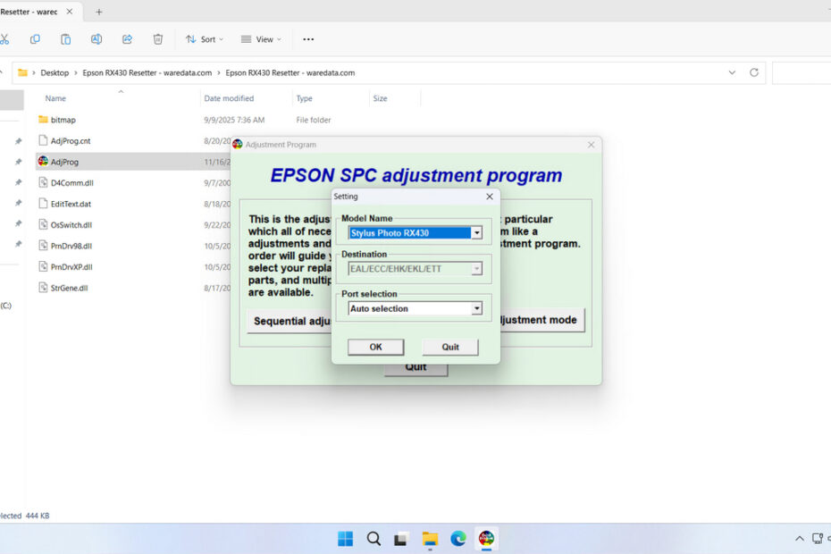 Epson RX430 Resetter