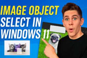 Windows 11 Has a New Feature 'Image Object Select' What's Its Function