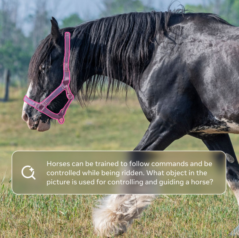 Example of using SAM 3