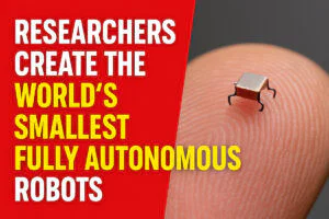 Researchers Create the World’s Smallest Fully Autonomous Robots