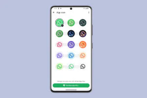Meta Experiments With Paid WhatsApp Plus for Customization Upgrades