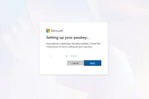 Microsoft Passkey