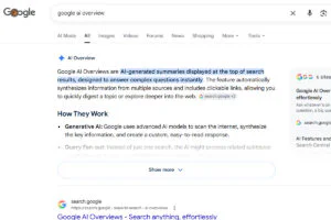 Google AI Overviews
