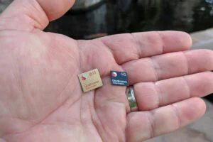 Qualcomm Snapdragon Chip